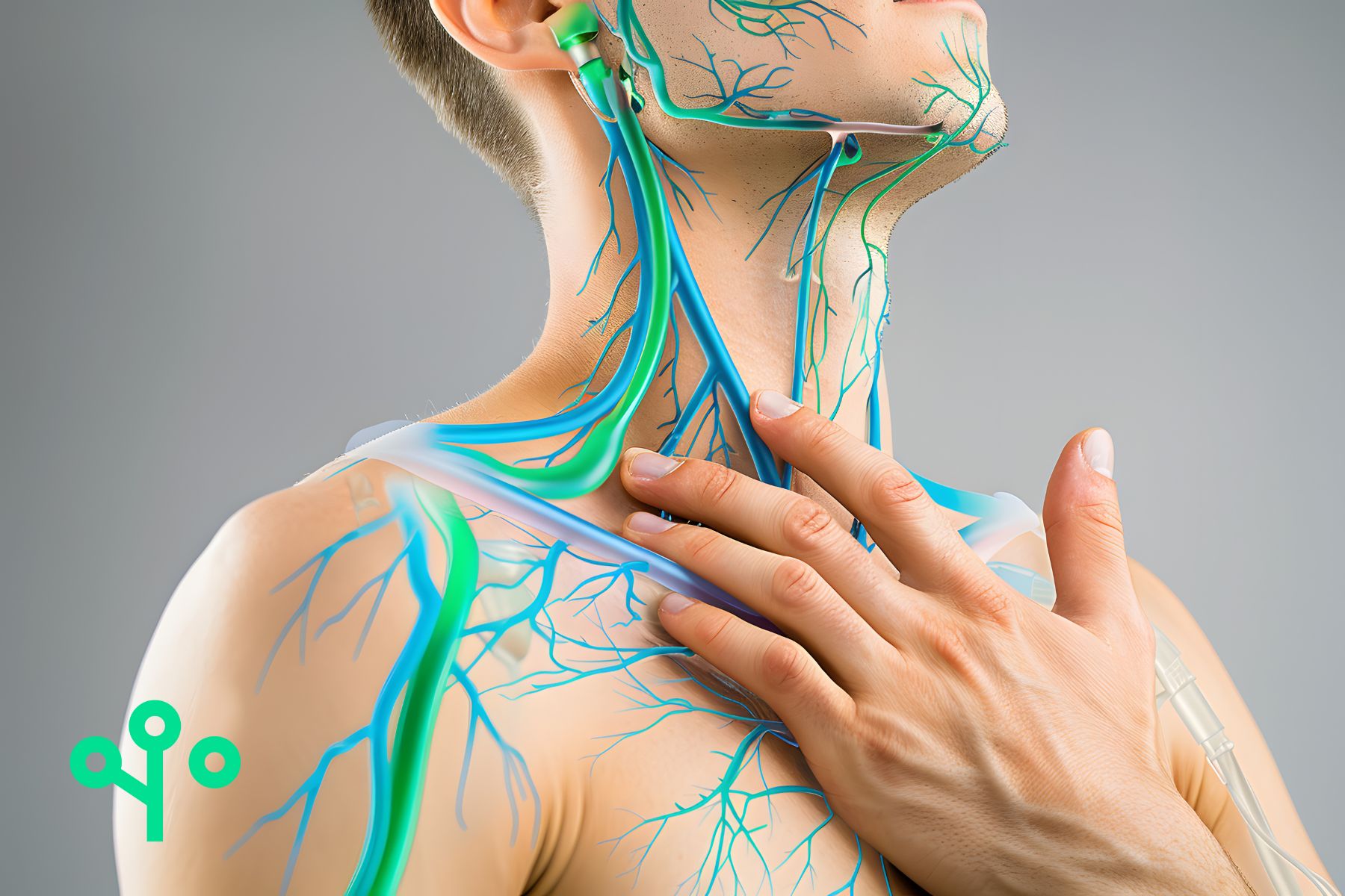 lymphatic system how it works and locations in neck and head